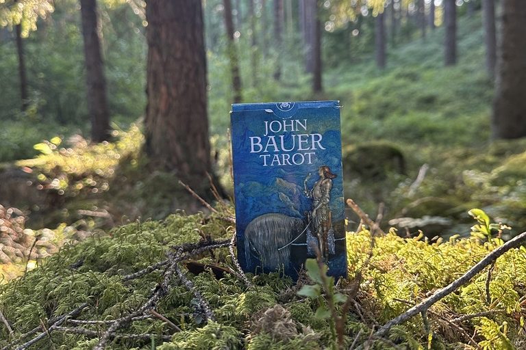 En tarotlek på mossan i en solbelyst barrskog.