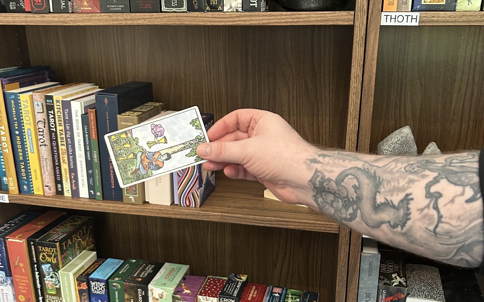 Sebastian Liljegren drar ett kort ur hyllan i sitt tarotbibliotek. Foto: Elin Liljegren.