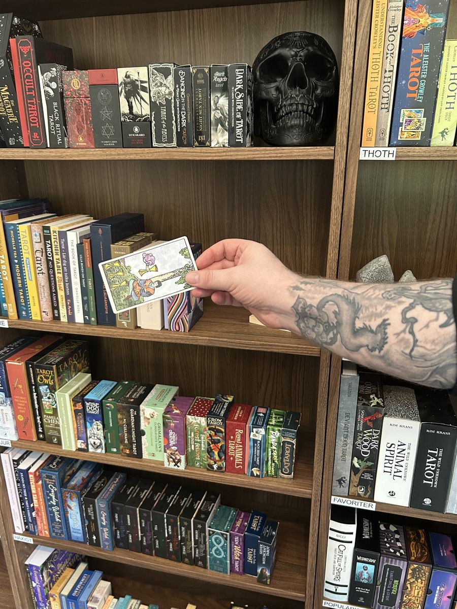 Sebastian Liljegren väljer en tarotlek ur hyllan i sitt tarotbibliotek.